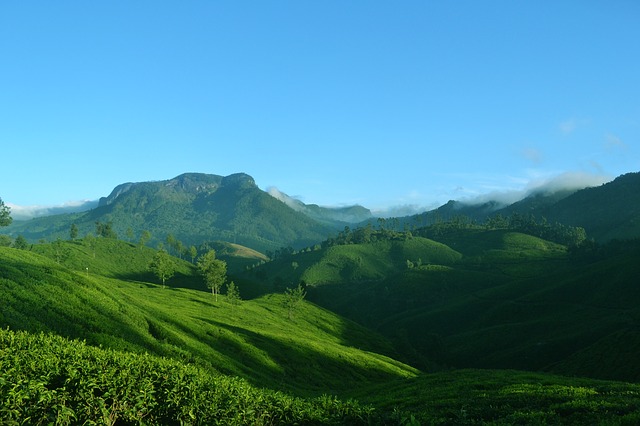 Inde<br/>
<small>Nature et culture</small>