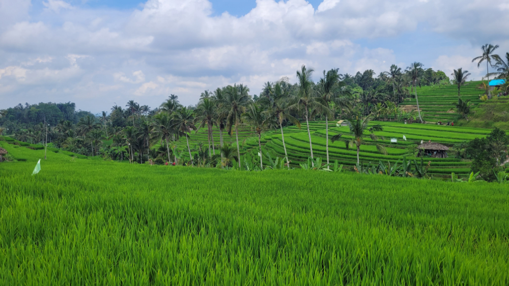 Indonésie - Bali<br/>
<small>Au cœur de culture et traditions</small>